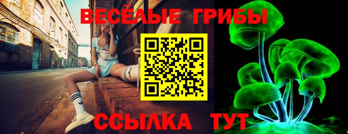 Галлюциногенные грибы ЛСД Кудымкар